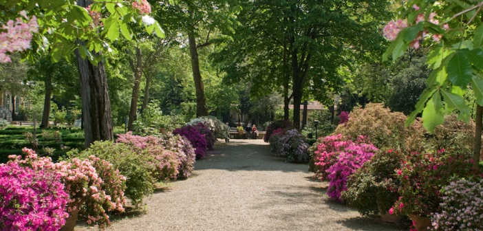 Jardin de Semplici