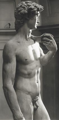 David Michelangelo