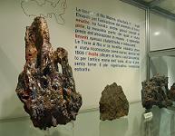 Museo di Storia Naturale Sez. di Mineralogia e Litologia