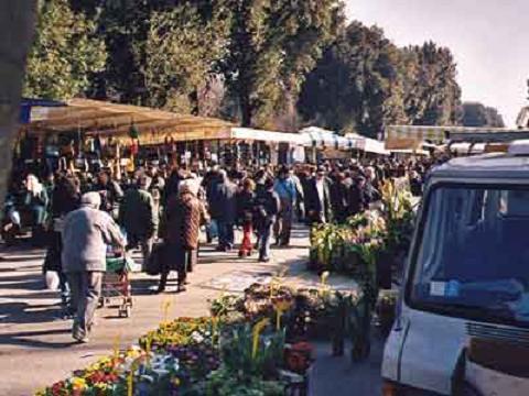 Mercato delle Cascine Firenze